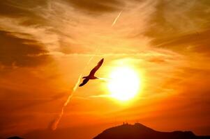 uma pássaro vôo dentro a céu às pôr do sol perto a Sol disco. foto