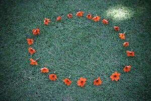 círculo a partir de vintage flores em Relva foto