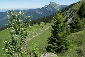 passar do pravouta, santo Pierre de Chartreuse, Isere, França foto