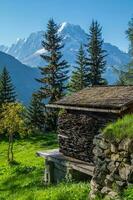 les granges,vallorcine,alta Sabóia, França foto