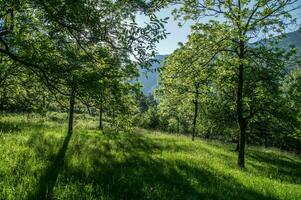 grande viopis ,dromo,frança foto