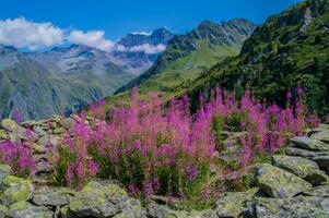 barracão de ferramentas morena, Valais, Suíça foto