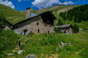 bois noir Ceillac queyras dentro hautes Alpes dentro França foto