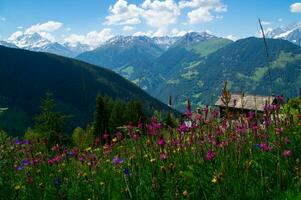 commeire dentro orsiers ,valais,suíça foto