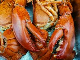especial frutos do mar lagosta ou lagosta foto