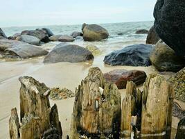 impressões do a sem fim de praia às a norte mar dentro blavand Dinamarca foto