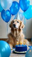 dourado retriever cachorro com aniversário bolo e azul balões às lar. generativo ai foto