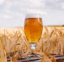 uma vidro do Cerveja dentro uma trigo campo foto