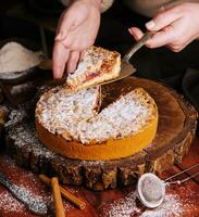 mulher segurando Grato torta com limão coalhada e geléia dentro foto