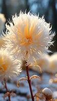 glória em a neve flor em inverno tarde Sol ai gerado foto