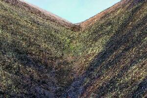 fechar acima Visão às a superfície do natural cana. foto