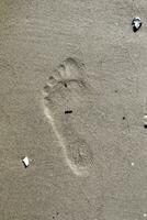 belas pegadas detalhadas na areia de uma praia durante o verão. copie o fundo do espaço foto