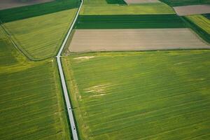 campo estrada entre agrícola Campos, aéreo Visão foto
