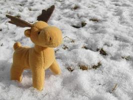 cervo de brinquedo na neve real foto