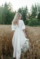 uma Loiras mulher dentro uma grandes branco vestir anda em dentro uma trigo campo. a conceito do uma Casamento e caminhando dentro natureza foto