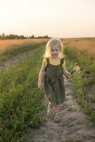 uma pequeno Loiras menina é sentado caminhando em uma camomila campo e colecionar uma ramalhete do flores foto