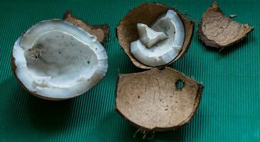 feio orgânico quebrado podre coco. descasca e branco por dentro do uma mofado coco. mimado alimentos. foto