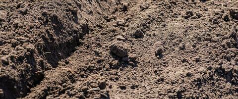 arado campo é pronto para plantar dentro Primavera. agricultura campo com Preto solo para plantio. natureza textura foto