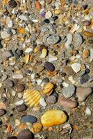 uma de praia com muitos diferente cartuchos e pedras foto