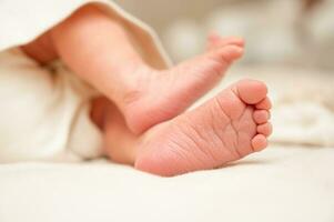 pequeno pés do uma recém-nascido bebê, fechar-se foto