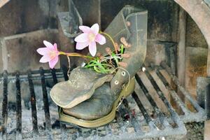 uma bota com flores dentro isto sentado dentro uma lareira foto