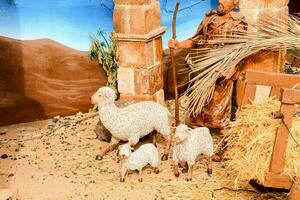 uma natividade cena com uma manjedoura, ovelha e uma pastor foto