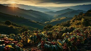 ai gerado Visão do a café plantação foto