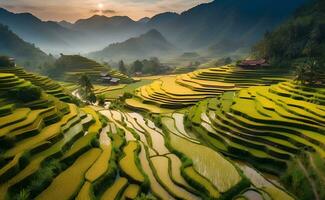 uma lindo verde montanha com terraços arroz Campos. foto