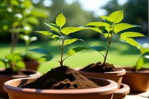 investimento renda e crescimento estão representado de uma florescente verde árvore plantado dentro uma Panela. ai gerado foto