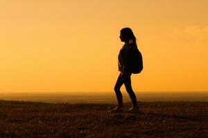 pequeno menina caminhante em pé dentro a natureza foto