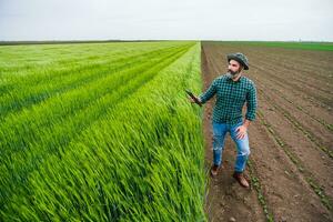 agricultor usando digital tábua enquanto em pé ao lado dele crescendo trigo campo foto