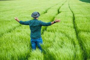 feliz agricultor com braços estendido em pé dentro dele crescendo trigo campo foto