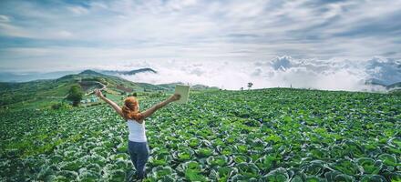 mulher fica lendo em um nabo do jardim. Atmosfera matinal as montanhas estão enevoadas. phetchabun phutubberg tailândia foto