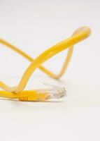 amarelo rj 45 patchcord foto