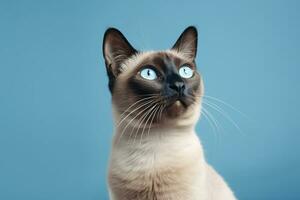 ai gerado fechar acima do siamês gato com azul olhos em uma azul fundo foto
