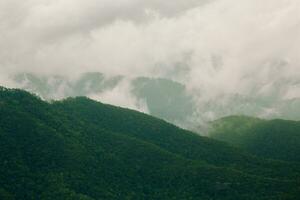floresta tropical montanhas em nublado dias. foto