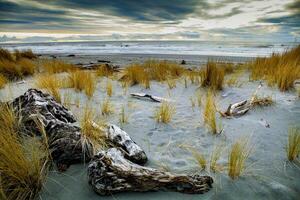 hokitika areia de praia Southland Novo zelândia foto