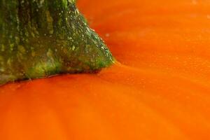 laranja, fresco abóbora fechar acima. Comida textura. foto