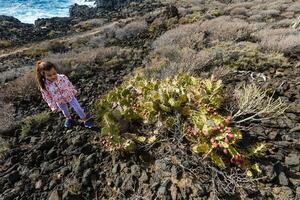 pequeno menina carrinhos perto uma cacto em a ilha do tenerife foto