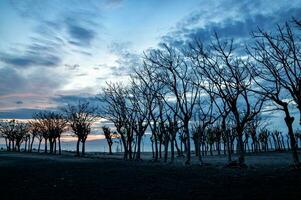 nascer do sol às gili ketapang ilha, probolinggo, Indonésia foto