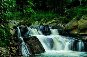 a água fluxo fluxos dentro uma rochoso rio com grande quantidade do selvagem árvores foto
