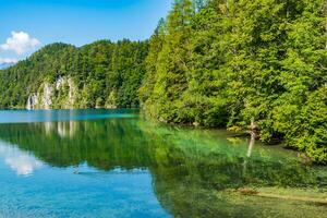 verde profundo floresta em a costa do uma Mountin lago com calma plano água foto