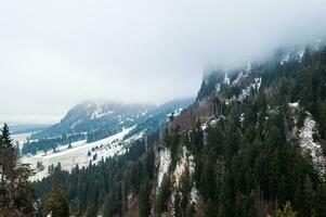 montanha floresta dentro inverno coberto com neve e névoa foto