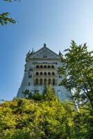 inferior Visão em a Neuschwanstein castelo entre a árvores foto