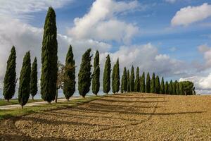 famoso Toscana panorama com curvado estrada e cipreste, Itália, Europa. rural fazenda, cipreste árvores, verde campo, luz solar e nuvem. foto