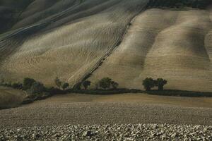 colhido Campos e prados panorama dentro toscana, Itália. ondulado país cenário às outono pôr do sol. arável terra pronto para a agrícola temporada. foto