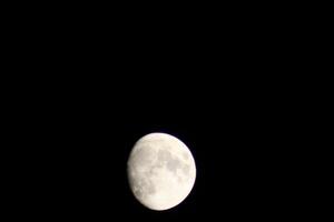 cheio lua brilhante dentro a outono céu dentro Pensacola florida, Unidos estados Outubro 23 2023 foto