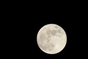 cheio lua brilhante dentro a outono céu dentro Pensacola florida, Unidos estados Outubro 23 2023 foto