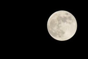 cheio lua brilhante dentro a outono céu dentro Pensacola florida, Unidos estados Outubro 23 2023 foto