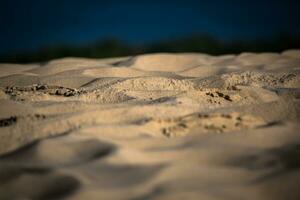 areia ondas em a Altíssima duna dentro Europa - duna do pyla pilato, Arcachon baía, aquitânia, França foto
